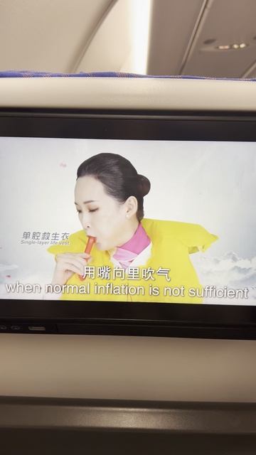 Обязательный инструктаж перед полетом #dreamway #китай #travel #тревелвлог #shorts #shortsvideo смотреть онлайн