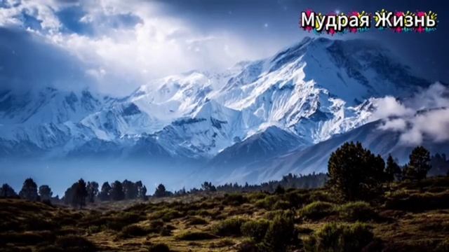 Измена. смотреть онлайн