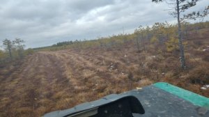 зис 5 болото 15.11.25г