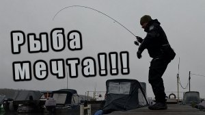 СПИННИНГ С БЕРЕГА ЧАСТО УДИВЛЯЕТ!!!  ПОЙМАЛ ЗАВЕТНЫЙ ТРОФЕЙ!!!