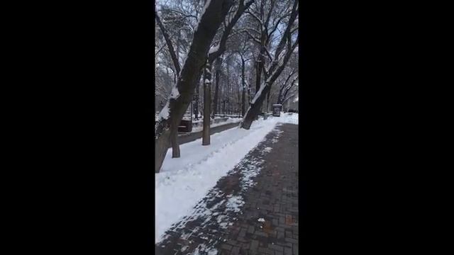 Алматинский Сосновый парк он же Норвежский лес смотреть онлайн