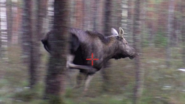 Загонная ОХОТА 2025. Первый СНЕГ!