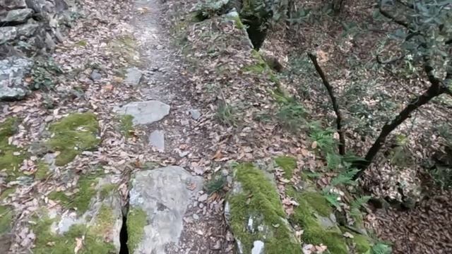 МЕДВЕЖЬИ СТУПЕНИ ФИЛЬМ 2-Й