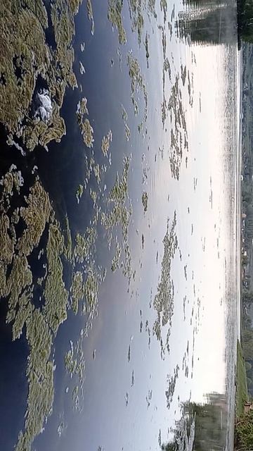 28-11-2025 смотреть онлайн