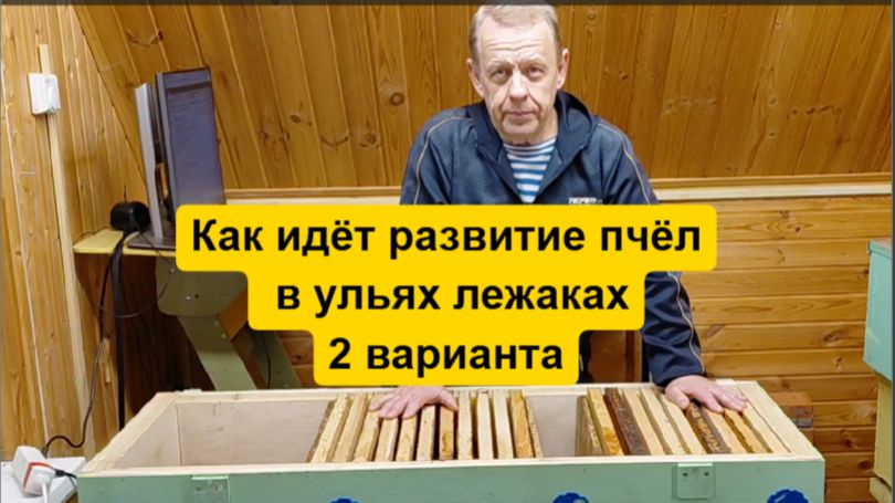 Способы развития пчёл для реализации метода пчеловодства в ульях-лежаках Якимова Владимирских смотреть онлайн