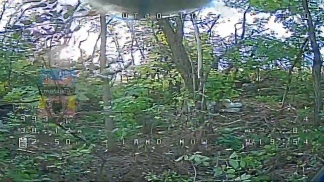 хряк поморщился на fpv дрон смотреть онлайн