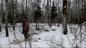 Охота на лося. Удача сопутствует. Лось добыт.