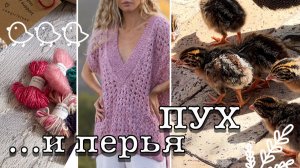 Что творится в Академии вязания? | Пух и перья | Совместный проект | Посылка от Cowgirlblues