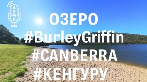 Виртуальное видео для бега на беговой дорожке с окружающими звуками | Canberra #Australia #kangaroos