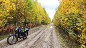 [1] Знакомство с мотоциклом Минск-Лидер ｜  Первый опыт управления на бездорожье