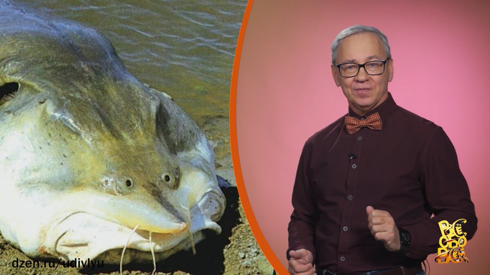 Всё обо всём. Калуга. Выпуск от 26.11.25 смотреть онлайн