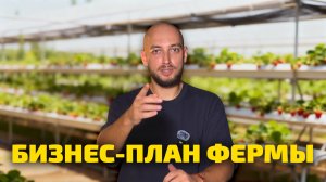 Бизнес-план фермы на 40 м²: окупится или нет?