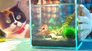 МЫ СОЗДАЕМ ПОДВОДНЫЙ ТЕРРАРИУМ