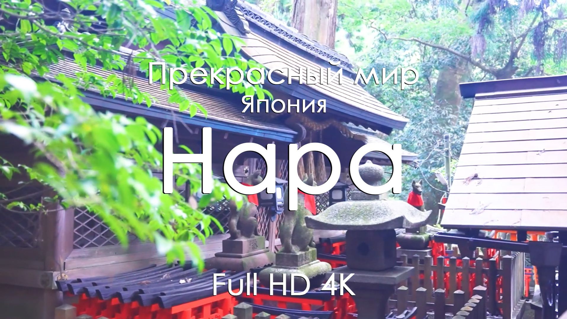 Нара Япония Осенью 4K | Кленовые аллеи, священные олени и фортепиано | Спокойное видео-релакс