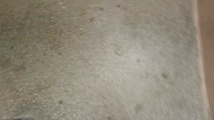 Лифт OTIS 2000R 2021 г