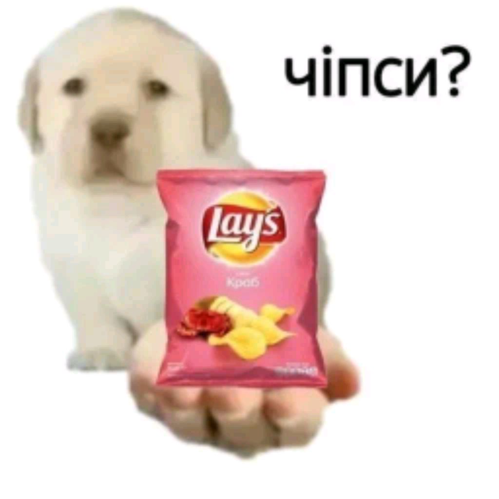 Зимний Стрим