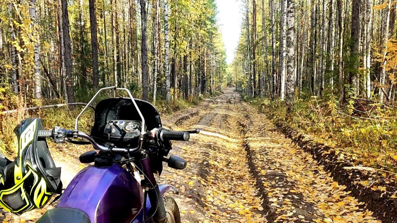 [2] Минск-Лидер - вторая покатушка по бездорожью |  Сцепление делает мозги | Встретил лесную птицу