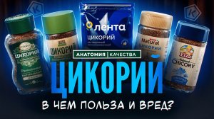Цикорий без иллюзий: польза, подмены и честный выбор