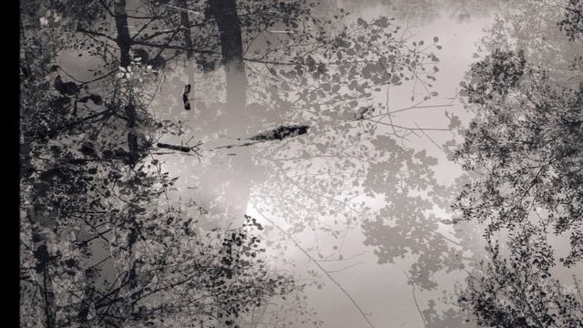 СТРАННАЯ ГЕРМАНСКАЯ ОСЕНЬ... (Фото Евгении КАРПЕНКО (Берлин), музыка Владимира РЕБИКОВА (1866-1920)) смотреть онлайн