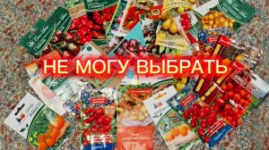 Муки выбора томатов на сезон 2026.Черри.