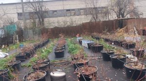 Повесили камеры для любителей брать чужое