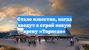 Стало известно, когда введут в строй новую арену «Торпедо»