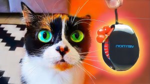 ВОТ ЧТО МЫ КУПИЛИ НА ALIEXPRESS!