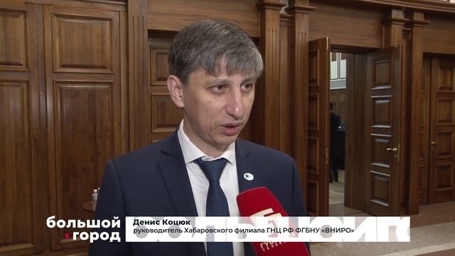 РЫБНЫЙ ГОД. Большой город 28/11/2025 смотреть онлайн