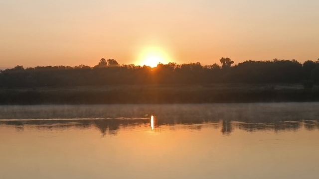 КАКАЯ РАЗНИЦА, КТО СИЛЬНЕЕ, КТО УМНЕЕ, КТО БОГАЧЕ ВЕДЬ ГЛАВНОЕ, СЧАСТЛИВЫЙ ТЫ ЧЕЛОВЕК, ИЛИ НЕТ. 🥰 смотреть онлайн
