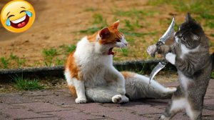 СМЕШНО ДО СЛЕЗ 😹😍 СМЕШНЫЕ КОТЫ, ЛУЧШИЕ ПРИКОЛЫ С КОТАМИ, КОШКИ, ЖИВОТНЫЕ 🥰