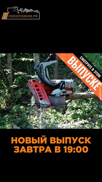 🎬Новое видео на канале "МУЛЬЧЕР ЭКСПЕРТ" выйдет завтра в 19:00 смотреть онлайн