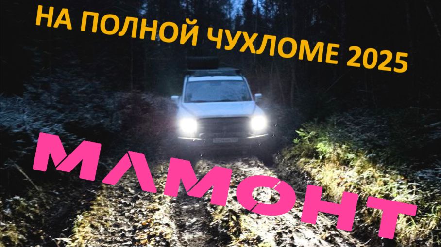 Мамонт на Полной Чухломе