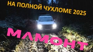 Мамонт на Полной Чухломе