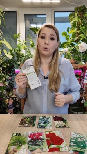 СЕЕМ БУТЫЛОЧНОЕ ДЕРЕВО - ЦВЕТОК НОЛИНА (БОКАРНЕЯ) ИЗ СЕМЯН