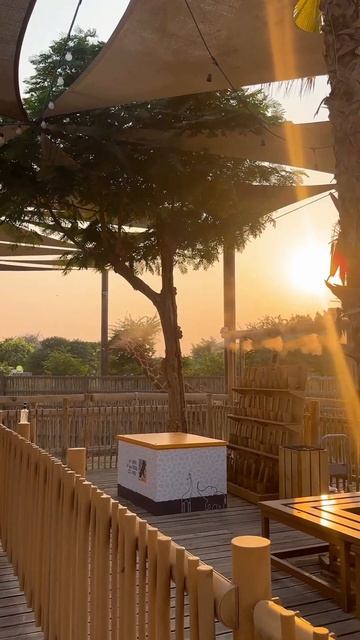 Экскурсия в Дубайский Сафари-парк