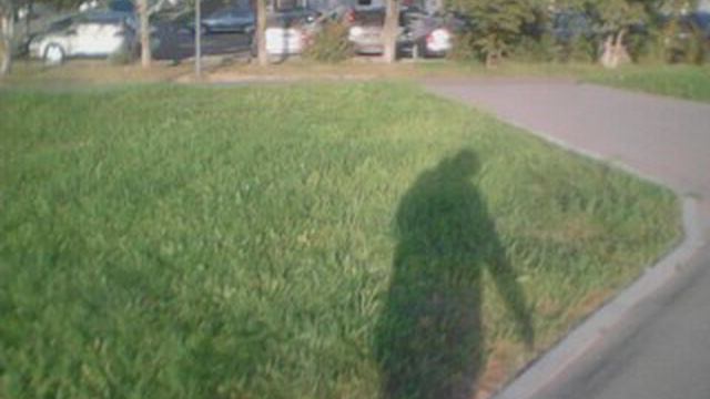 СЕНТЯБРЁВСКИЙ УЛИЧНЫЙ БЛОГ №1539 ПРОГУЛОЧКА ПО БУТОВО...😶😶😶 смотреть онлайн