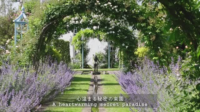 САДЫ ШОТЛАНДИИ ПРЕКРАСНЫЙ САД ХУДОЖНИКОВ В ИЮЛЕ смотреть онлайн