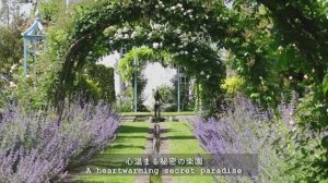 САДЫ ШОТЛАНДИИ  ПРЕКРАСНЫЙ САД  ХУДОЖНИКОВ  В ИЮЛЕ