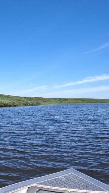 Красавица Матушка Тундра! смотреть онлайн