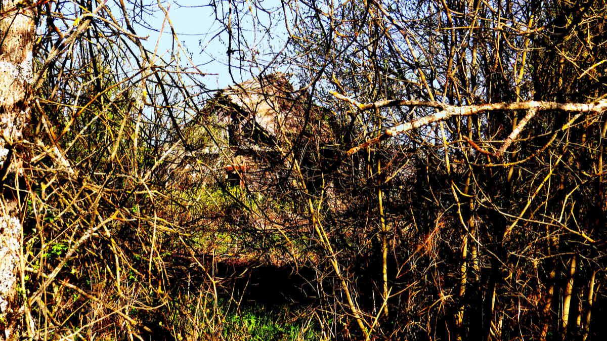 Первре мая. Сухая прощлогодняя трава. смотреть онлайн