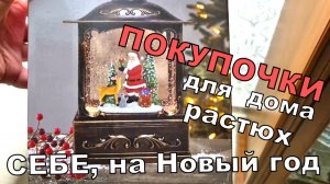 Зима для шопинга и дана. Покупки для растений, себя любимой и для дома