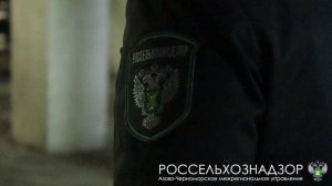 Инспекторы Россельхознадзора подтвердили качество и безопасность зерна на крымском предприятии