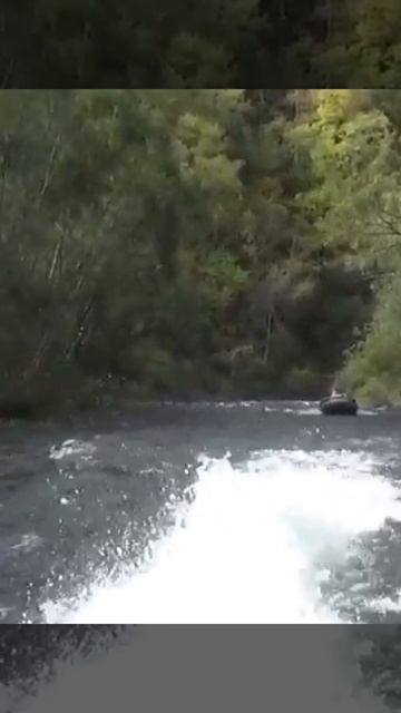 Звук, который ласкает слух и пленяет сердце всех рыбаков и водномоторников! смотреть онлайн