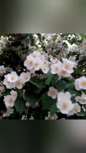 Это было в мае 23-го. #природавокругнас