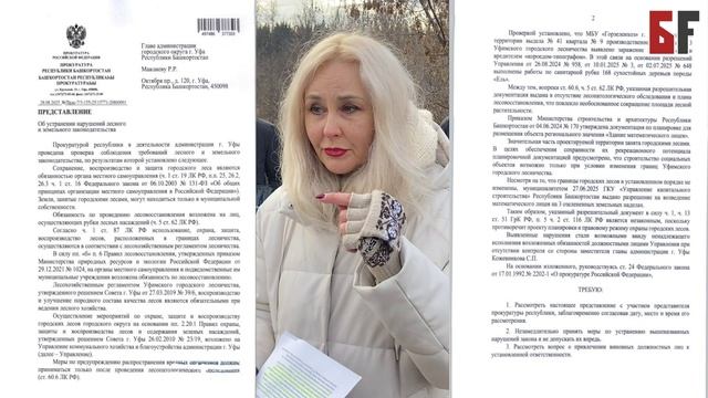 «Рубить, не строить». Жители Сафроновского разочарованы решением Горзеленхоза о вырубке лесополосы