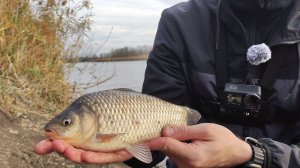 Выловил 4 ЦАРСКИХ КАРАСЯ на реке Кочеты! Закрытие ОСЕННЕГО СЕЗОНА рыбалки.