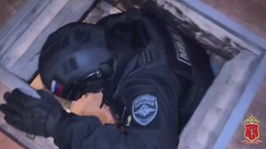 В Ленобласти полиция при проверке мест компактного проживания кочевого народа выявила майнинг-ферму