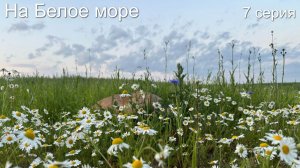 На Белое море 7 серия