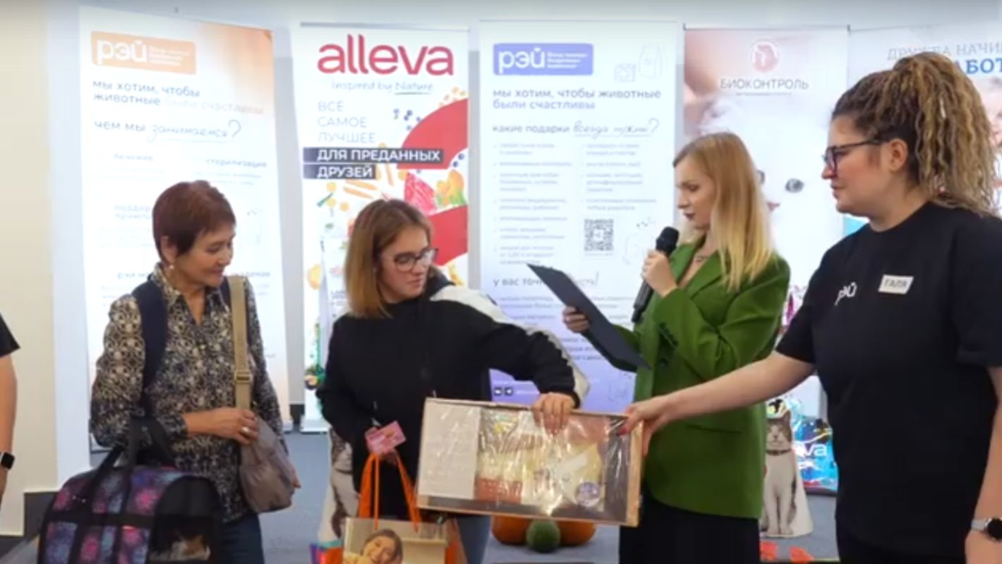 Фестиваль «Тыквы и Коты» 2025! смотреть онлайн