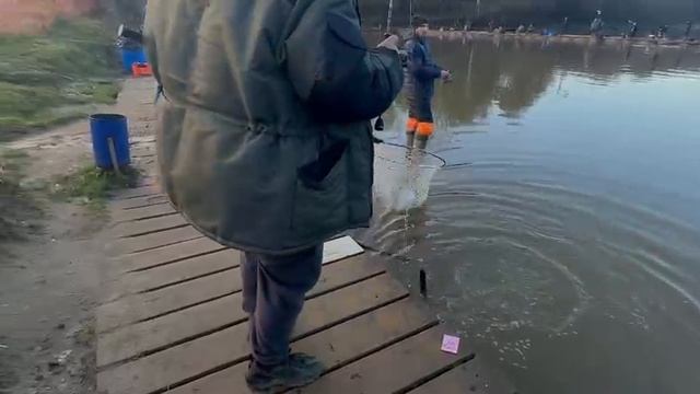 Спорт зона смотреть онлайн